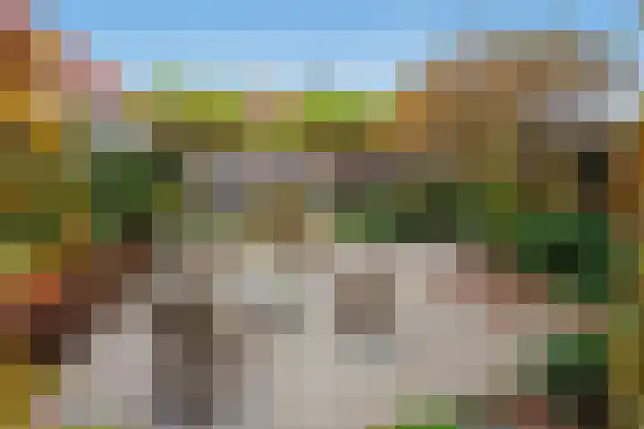 't Woudt 21 Schipluiden thumbnail 27