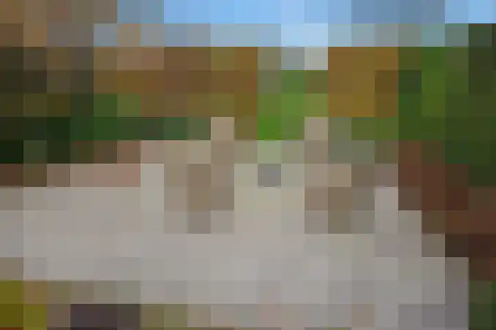 't Woudt 21 Schipluiden thumbnail 28
