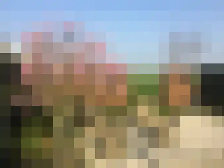 't Woudt 21 Schipluiden thumbnail 29