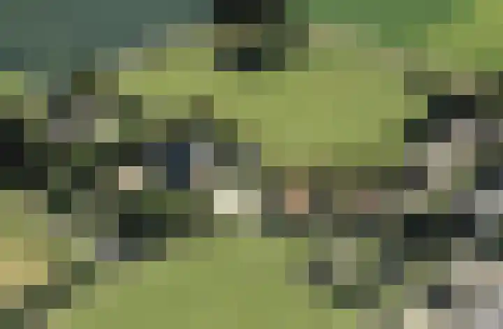 't Woudt 21 Schipluiden foto 3