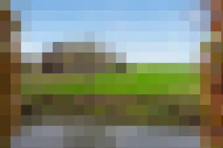 't Woudt 21 Schipluiden thumbnail 30
