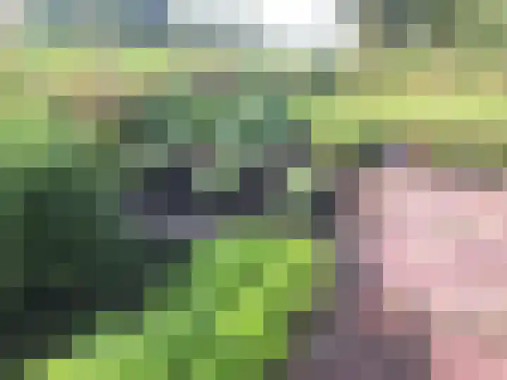 't Woudt 21 Schipluiden thumbnail 31