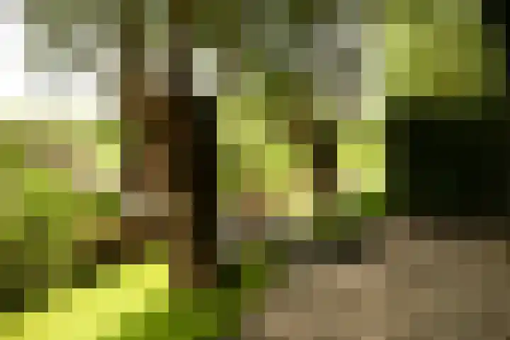 't Woudt 21 Schipluiden thumbnail 32