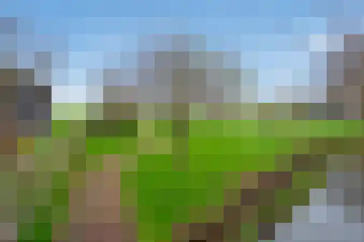 't Woudt 21 Schipluiden thumbnail 33