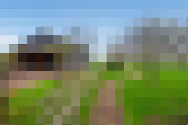 't Woudt 21 Schipluiden thumbnail 35