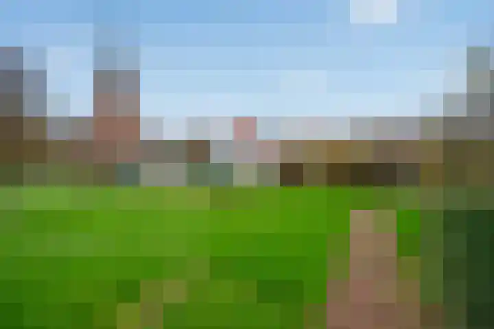 't Woudt 21 Schipluiden thumbnail 37