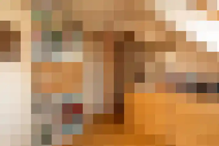 't Woudt 21 Schipluiden thumbnail 41