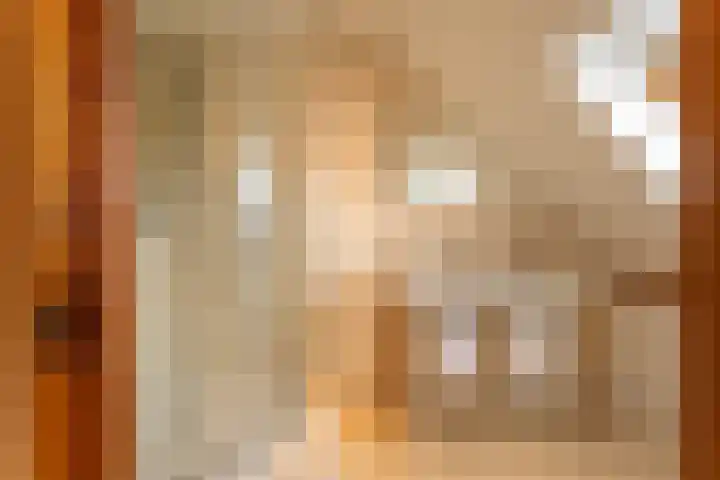 't Woudt 21 Schipluiden thumbnail 45