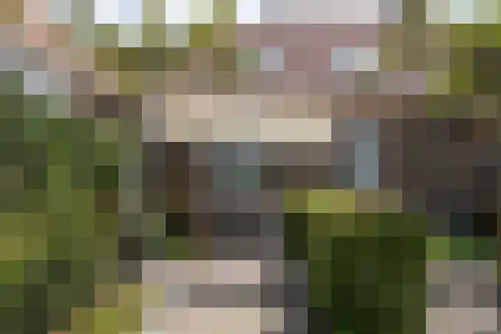 't Woudt 21 Schipluiden thumbnail 53