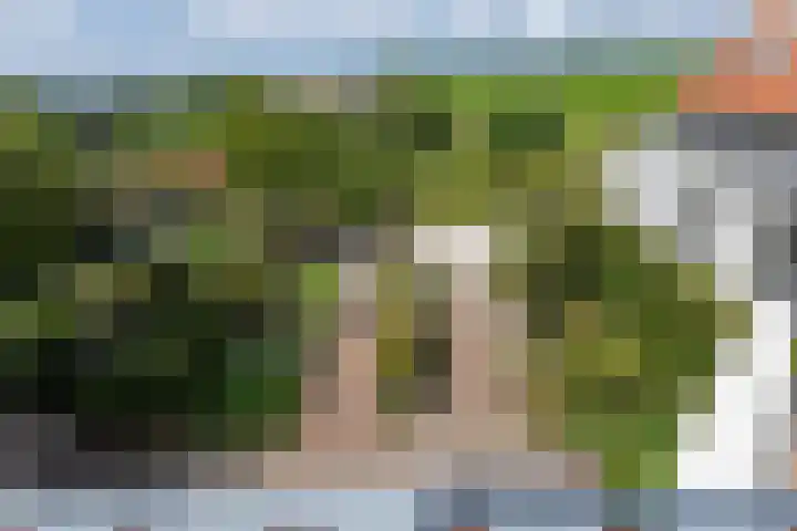 't Woudt 21 Schipluiden thumbnail 54