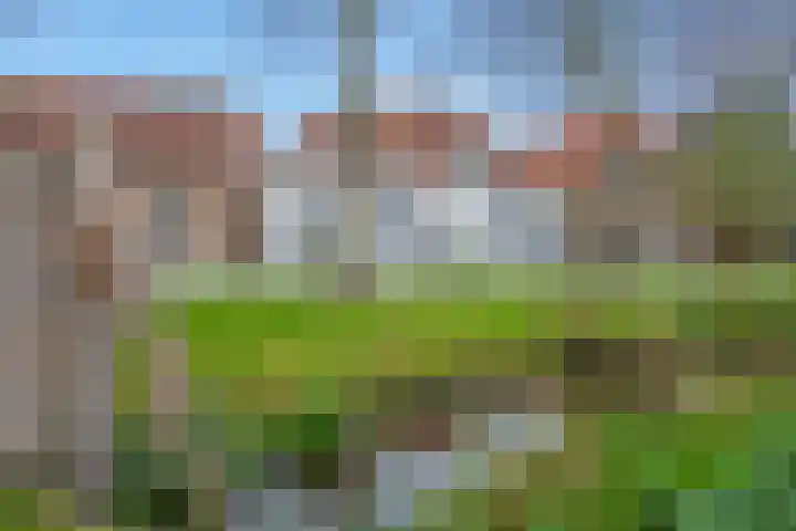 't Woudt 21 Schipluiden thumbnail 55