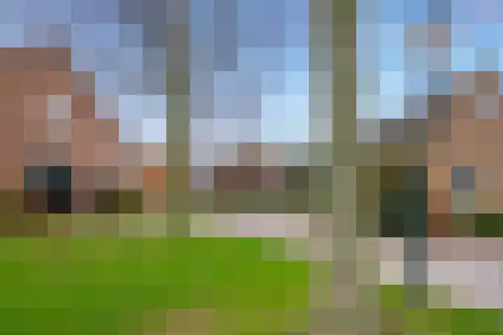 't Woudt 21 Schipluiden thumbnail 57