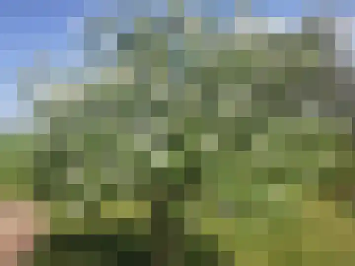 't Woudt 21 Schipluiden thumbnail 59