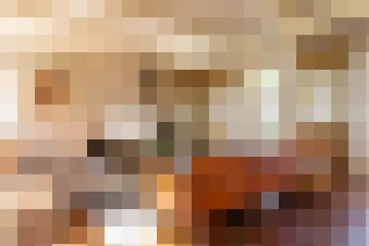 't Woudt 21 Schipluiden thumbnail 6