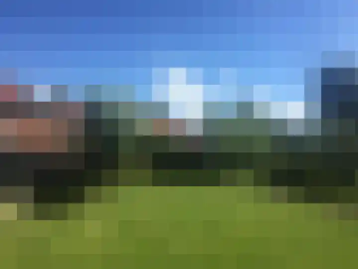 't Woudt 21 Schipluiden thumbnail 60