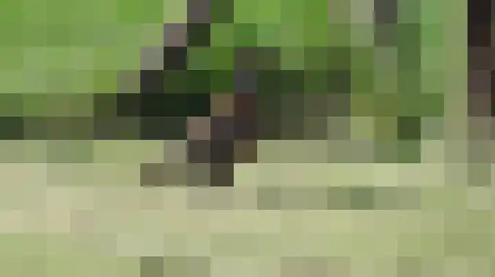 't Woudt 21 Schipluiden thumbnail 63