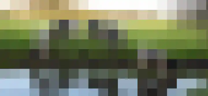 't Woudt 21 Schipluiden thumbnail 64