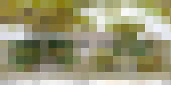 't Woudt 21 Schipluiden thumbnail 68