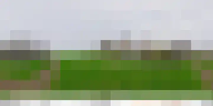 't Woudt 21 Schipluiden thumbnail 69