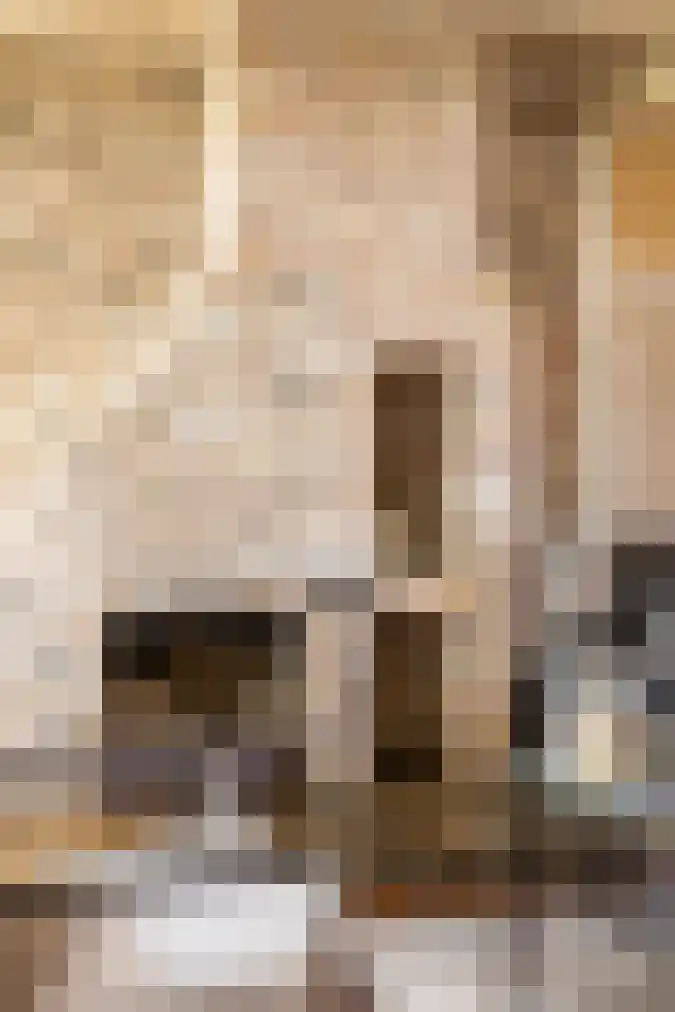 't Woudt 21 Schipluiden thumbnail 7