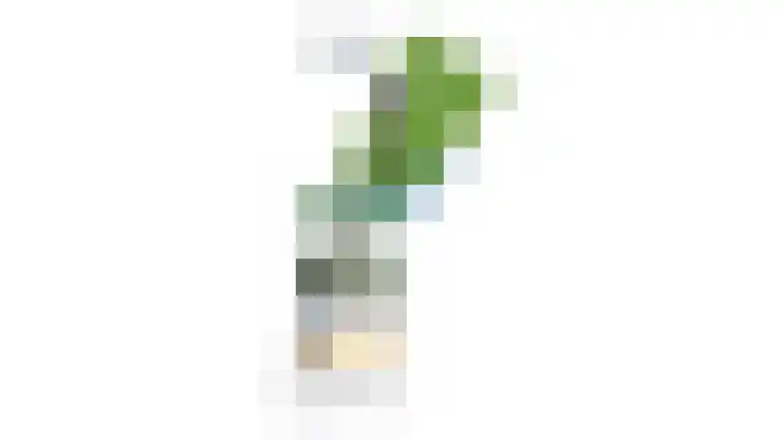 't Woudt 21 Schipluiden thumbnail 70