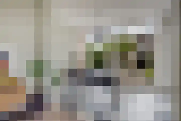 't Wuiver 19 Oudorp thumbnail 12