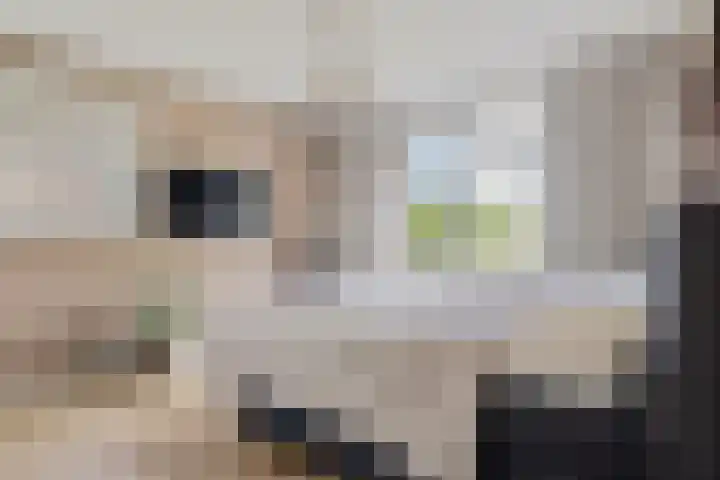 't Wuiver 19 Oudorp thumbnail 19