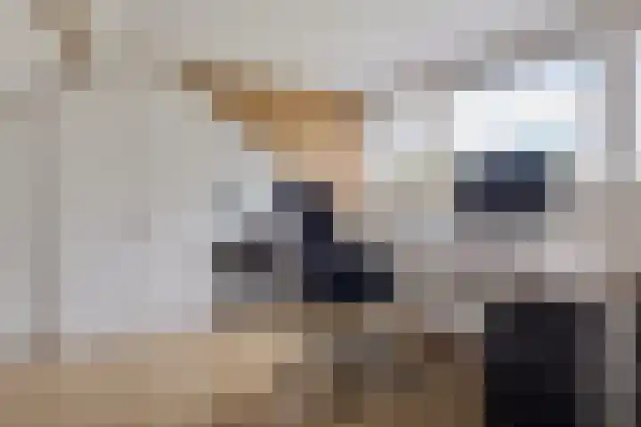 't Wuiver 19 Oudorp thumbnail 25