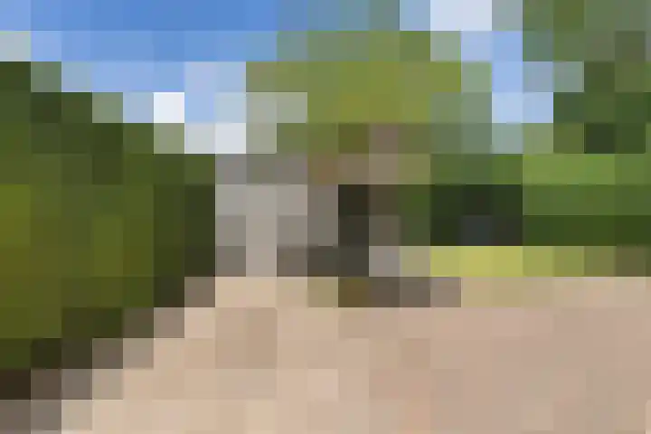 't Wuiver 19 Oudorp thumbnail 26