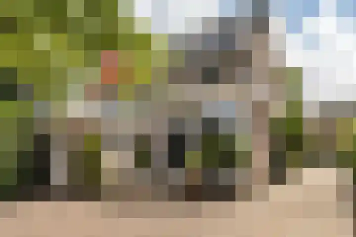 't Wuiver 19 Oudorp thumbnail 28