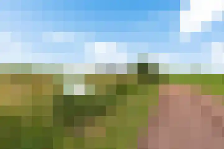 't Wuiver 19 Oudorp thumbnail 29