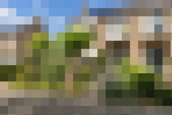 't Wuiver 19 Oudorp thumbnail 5