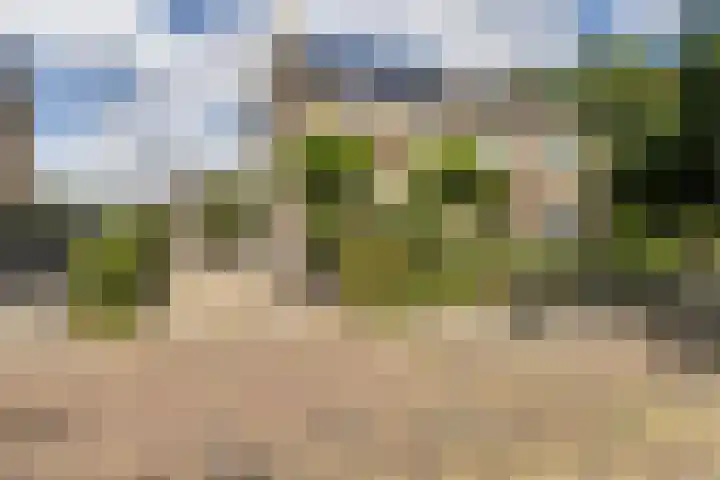 't Wuiver 19 Oudorp thumbnail 6