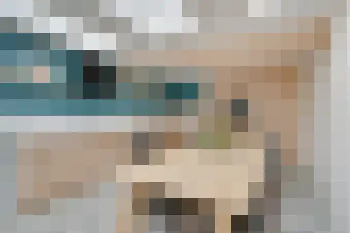 't Wuiver 2 B Oudorp thumbnail 19