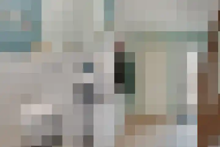't Wuiver 2 B Oudorp thumbnail 25