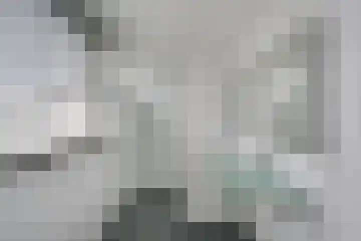 't Wuiver 2 B Oudorp thumbnail 50