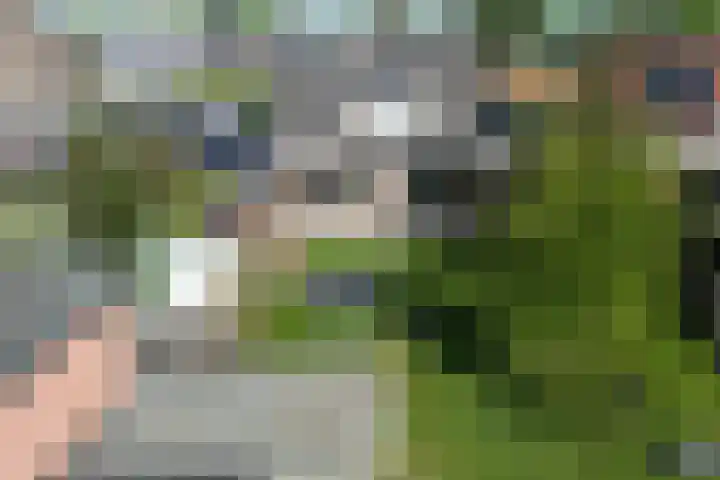 't Wuiver 2 B Oudorp thumbnail 60
