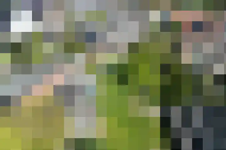 't Wuiver 2 B Oudorp thumbnail 61