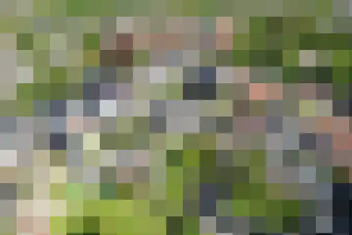 't Wuiver 2 B Oudorp thumbnail 62