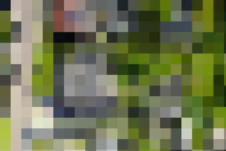't Wuiver 2 B Oudorp thumbnail 63