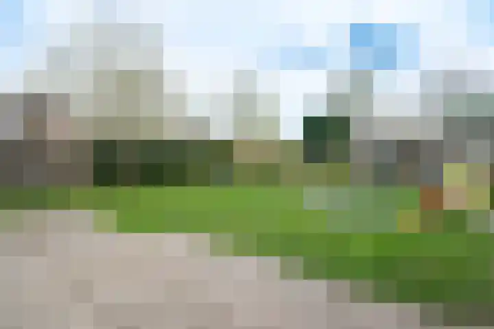't Wuiver 2 B Oudorp thumbnail 64