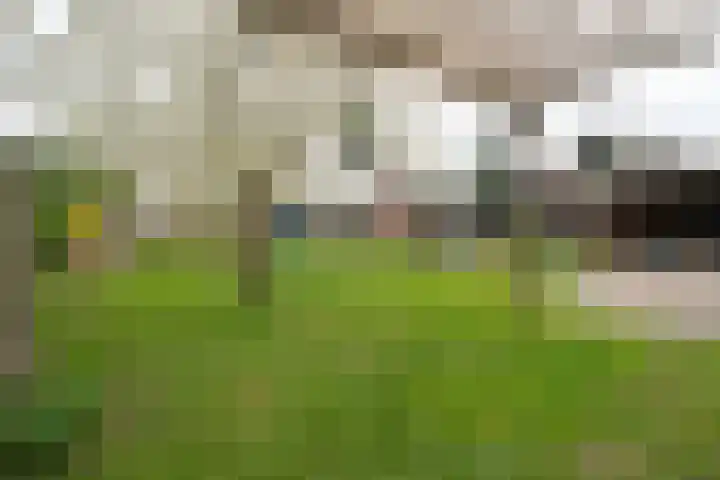 't Wuiver 2 B Oudorp thumbnail 65