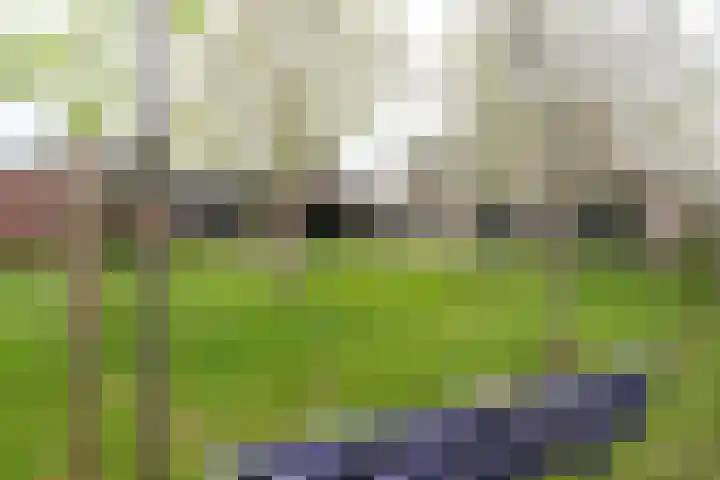 't Wuiver 2 B Oudorp thumbnail 67