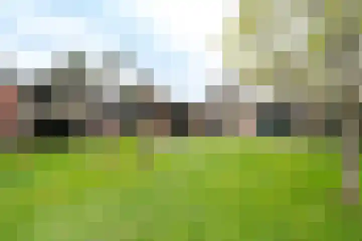 't Wuiver 2 B Oudorp thumbnail 68