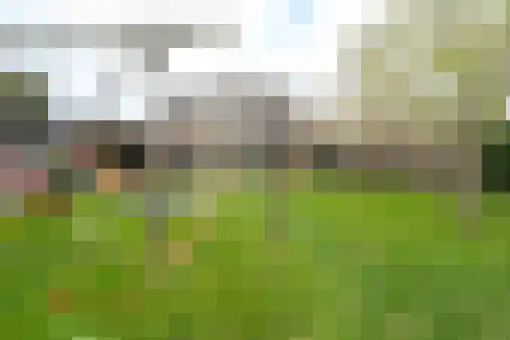 't Wuiver 2 B Oudorp thumbnail 69