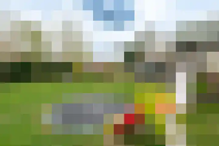 't Wuiver 2 B Oudorp thumbnail 73