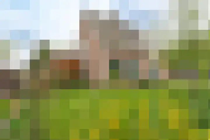 't Wuiver 2 B Oudorp thumbnail 76
