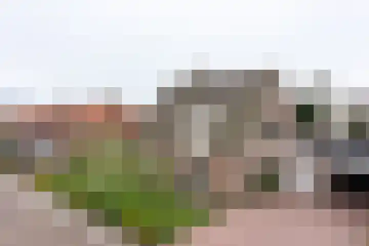 't Wuiver 2 B Oudorp thumbnail 79