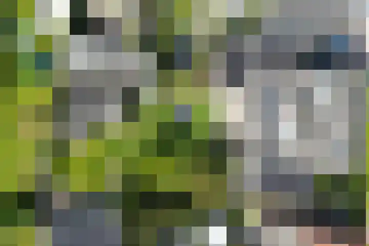 't Wuiver 2 B Oudorp thumbnail 81