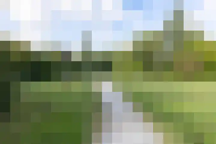 't Wuiver 30 Oudorp thumbnail 34